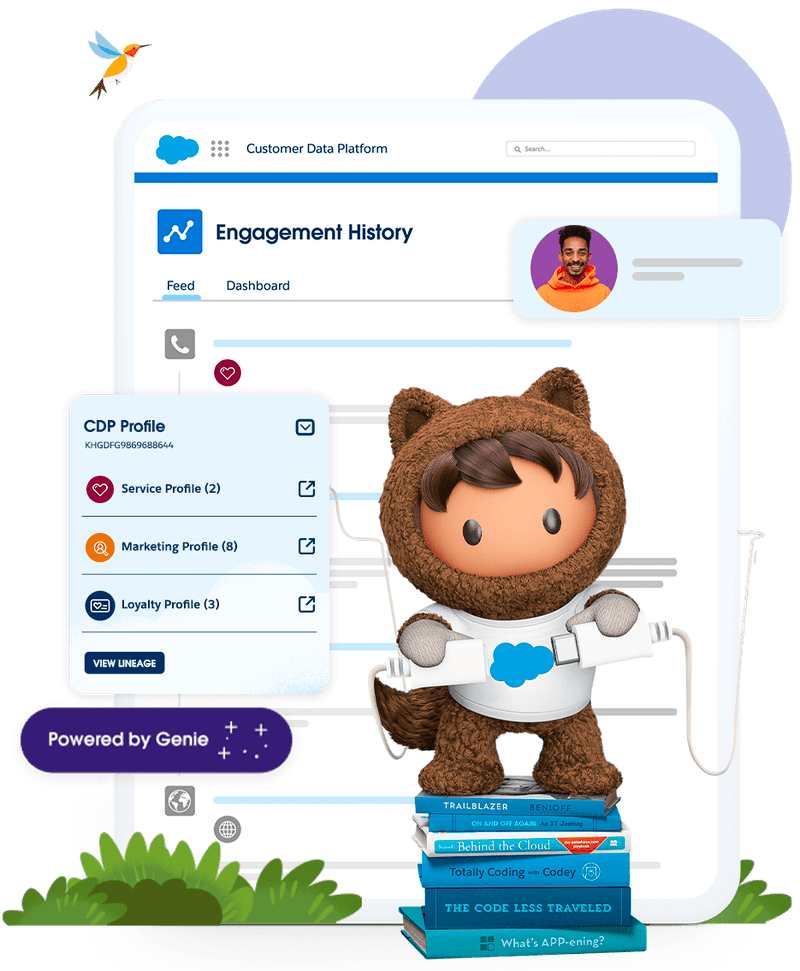 Salesforce CDP architecture diagram showing data unification