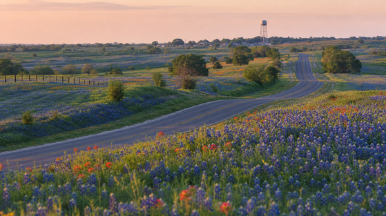 A country highway through spring wildflowers toward a small-town water tower