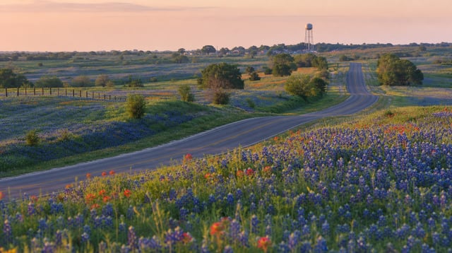 A country highway through spring wildflowers toward a small-town water tower